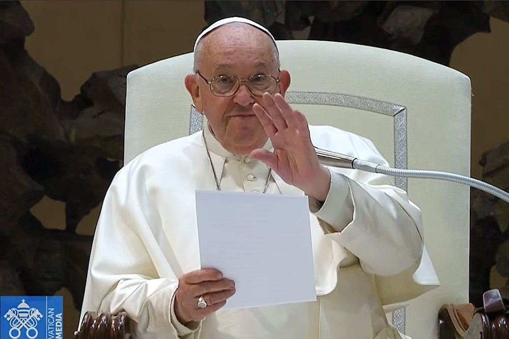 Zum Video von der Generalaudienz mit Papst Franziskus klicken Sie auf das Foto. 